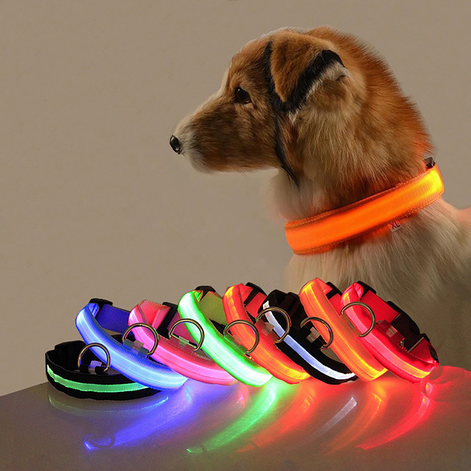 Collier Lumineux Réglable pour Chiens – Sécurité Nocturne, Strié Phosphorescent