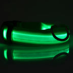 Collier Lumineux Réglable pour Chiens – Sécurité Nocturne, Strié Phosphorescent