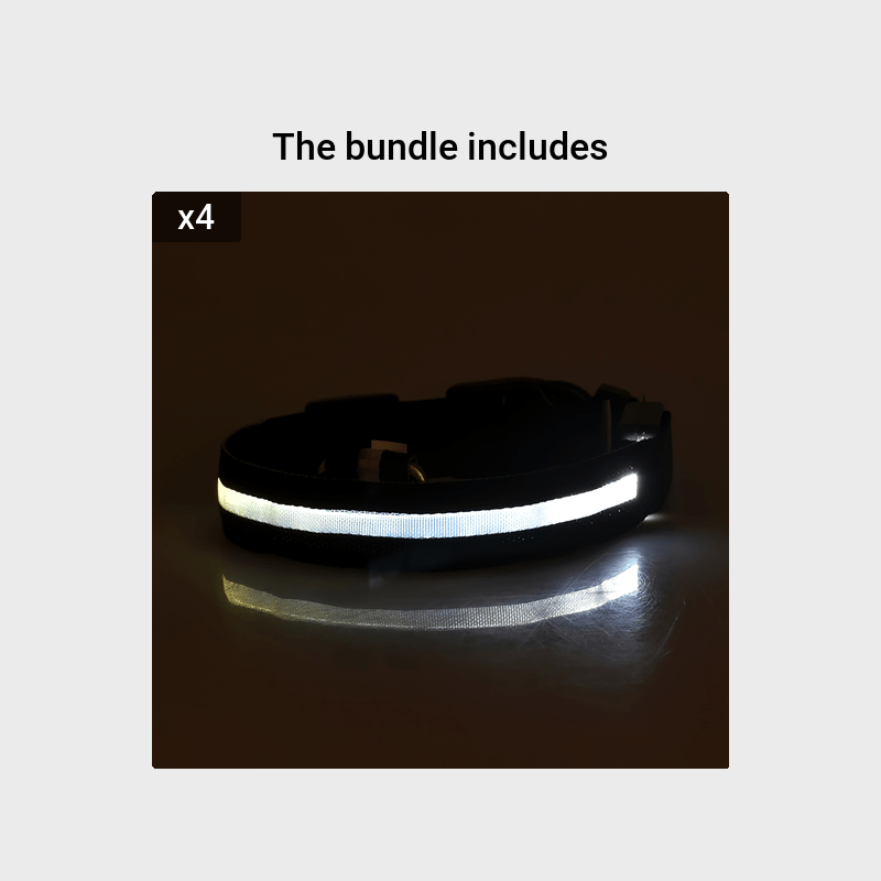 Collier Lumineux Réglable pour Chiens – Sécurité Nocturne, Strié Phosphorescent