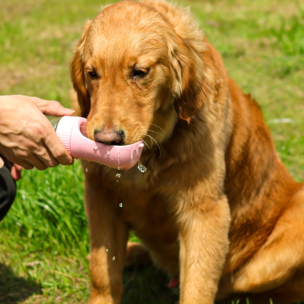 Gourde pour chien portable – Voyage, promenade et extérieur