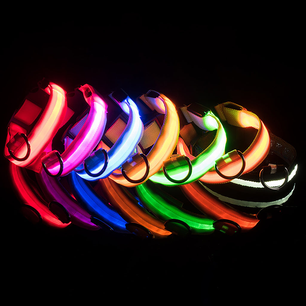 Collier Lumineux Réglable pour Chiens – Sécurité Nocturne, Strié Phosphorescent