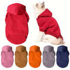 Sweat à capuche pour chiens et chats – Pull over en polyester, toutes saisons