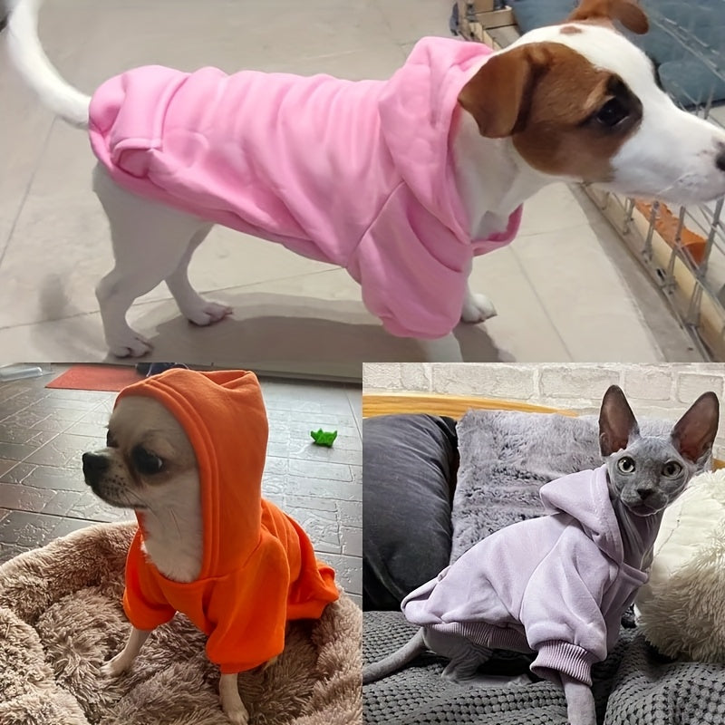 Sweat à capuche pour chiens et chats – Pull over en polyester, toutes saisons