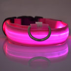 Collier Lumineux Réglable pour Chiens – Sécurité Nocturne, Strié Phosphorescent